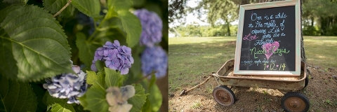 Virginia Wedding Photographer_ Christina barnum photography_0055