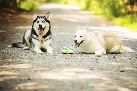Yorktown Family Photographer Christina Barnum photography_0039