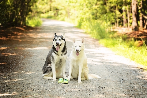 Yorktown Family Photographer Christina Barnum photography_0040