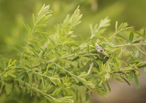 Christina Barnum Photography, Hampton Roads VA Photographer