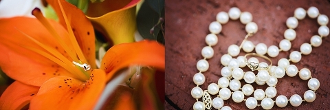 Hampton Roads Photographer_0067