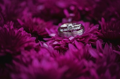 Hampton Roads Photographer_0148