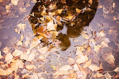 Yorktown family photographer_0555