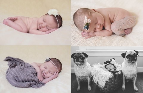 Hampton Roads Photographer_0101