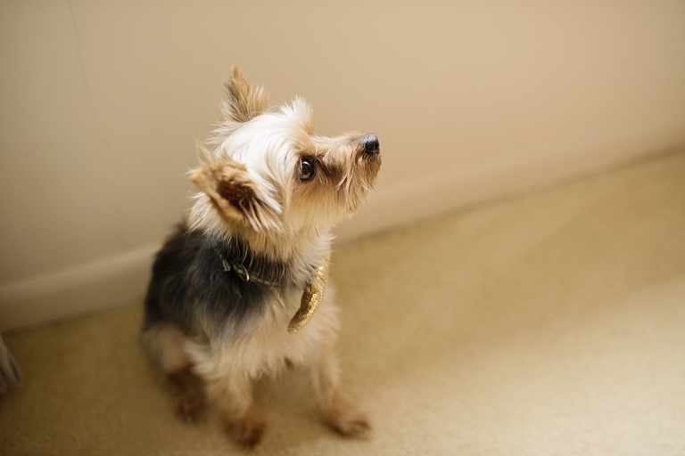 Hampton Roads Virginia Family Photographer_0004