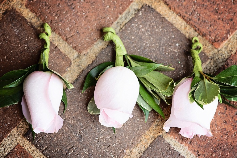 Hampton Roads Wedding Photographer_0207