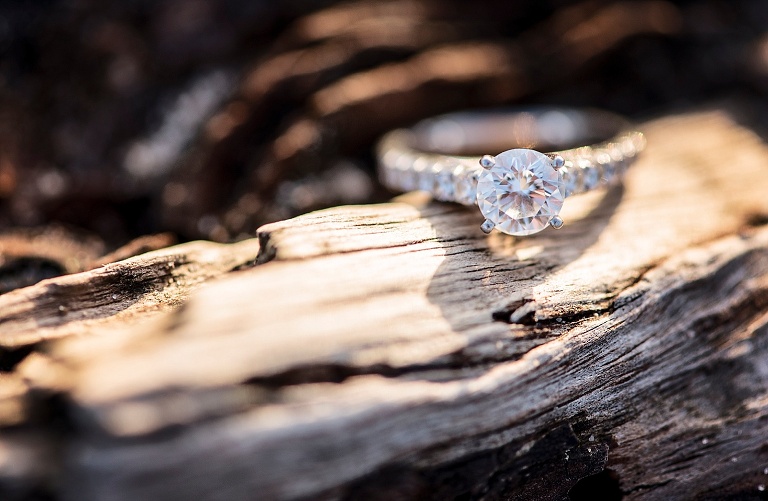 Hampton Roads Photographer_1422