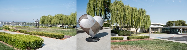 California Wedding Photographer_3517