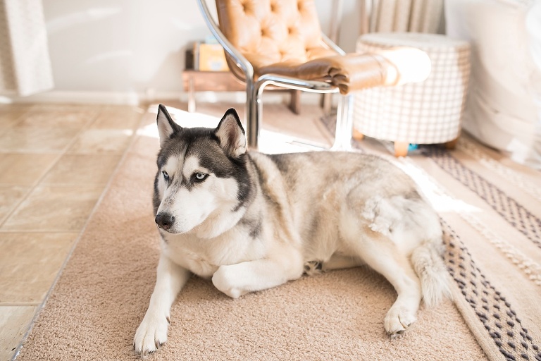 Yorktown Newborn Photographer_4069