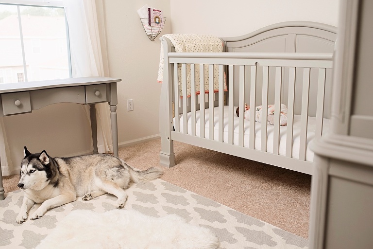 Yorktown Newborn Photographer_4093