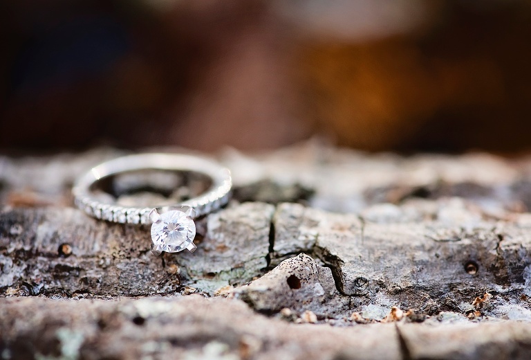 Gloucester VA Engagement_4207