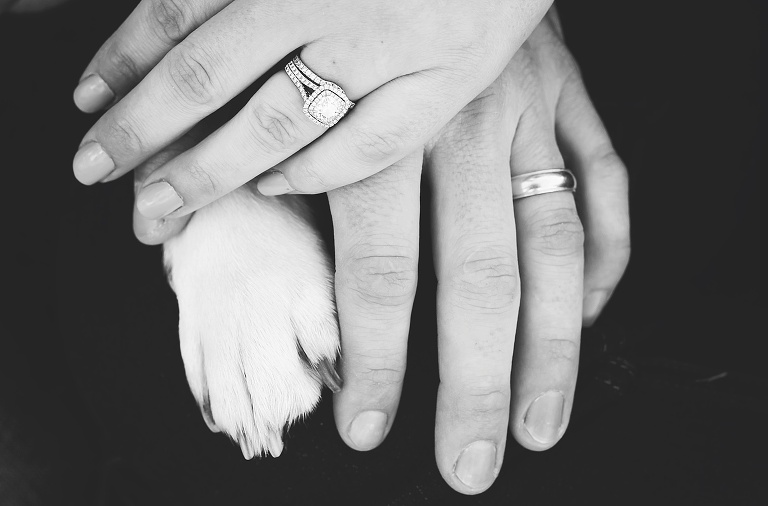 Gloucester Maternity Photographer_5315