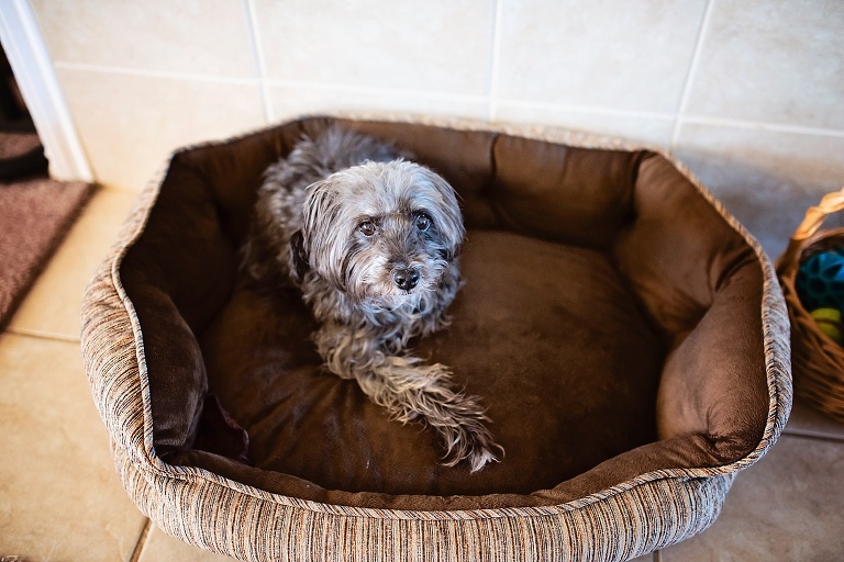 San Angelo Photographer_5325