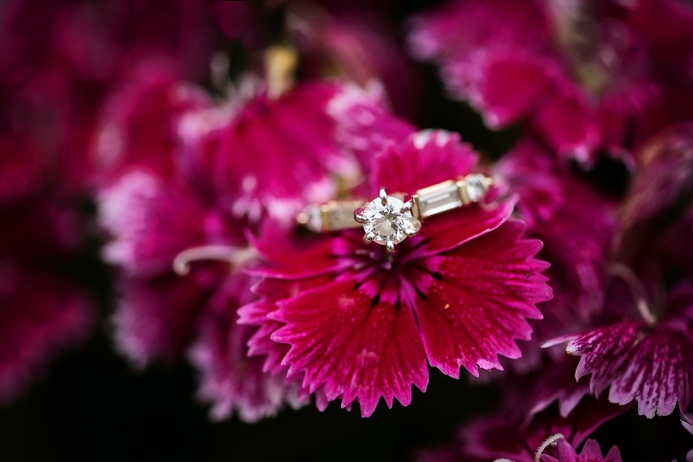 Colonial Williamsburg Engagement_8018