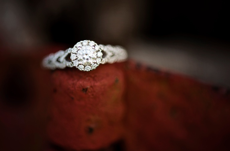 Windsor Castle Park Engagement_8037