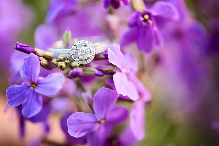 Colonial Williamsburg Engagement Photos_8046
