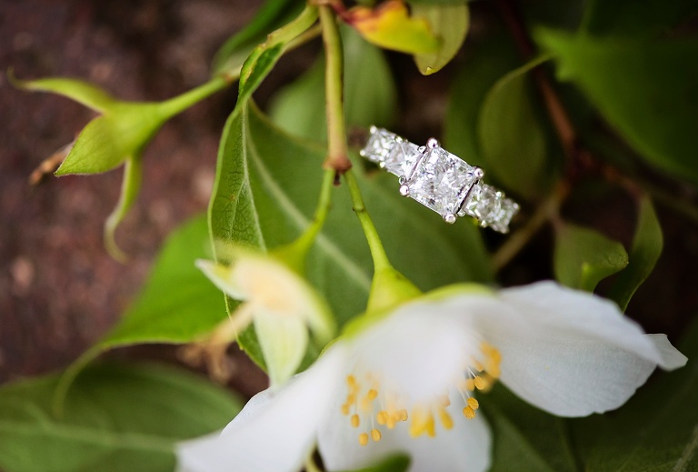 Colonial Williamsburg Engagment Photos_0460