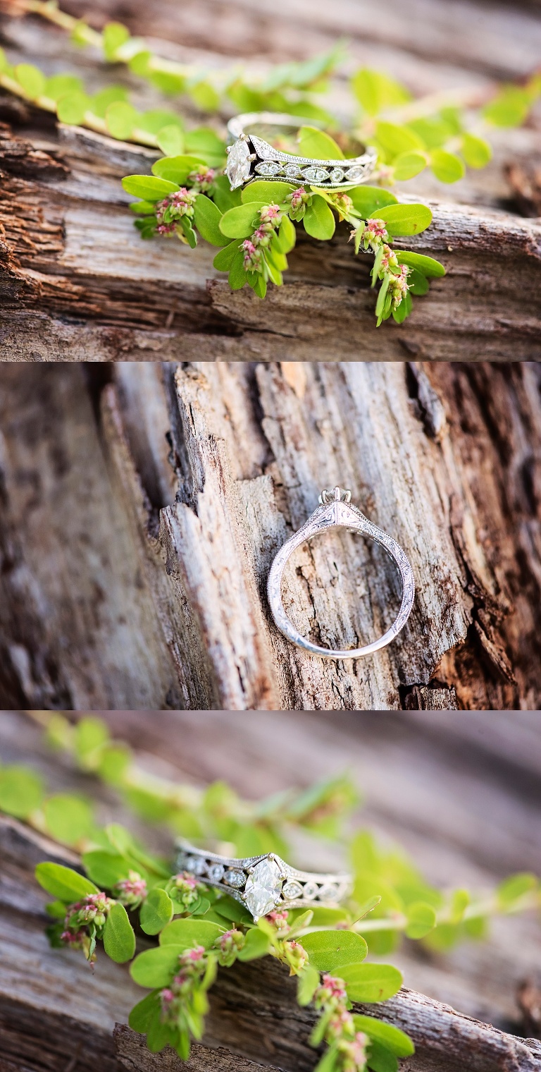 richmond-engagement-session_0285
