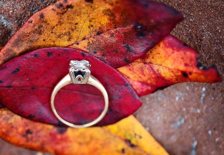 colonial-williamsburg-engagement_4592