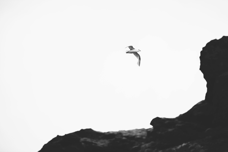 iceland-wedding-photographer_4737