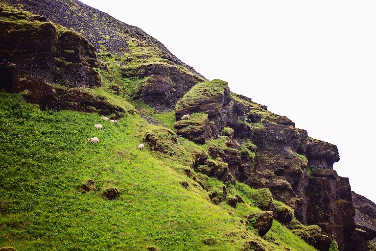 iceland-wedding-photographer_4774