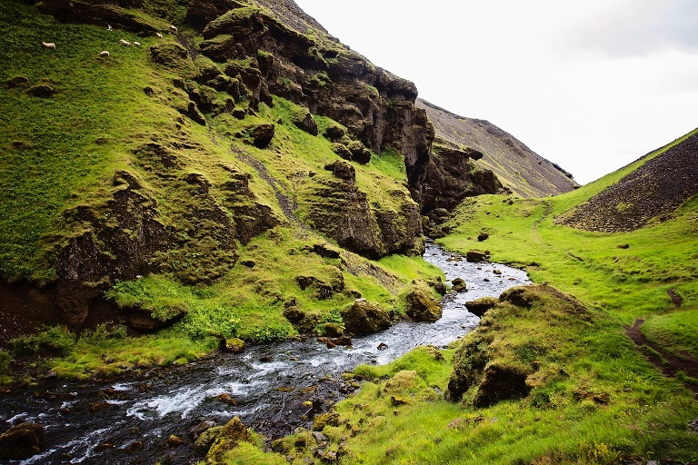 iceland-wedding-photographer_4777