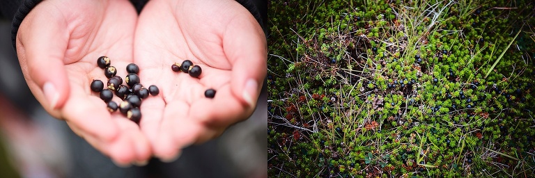 iceland-wedding-photographer_4784